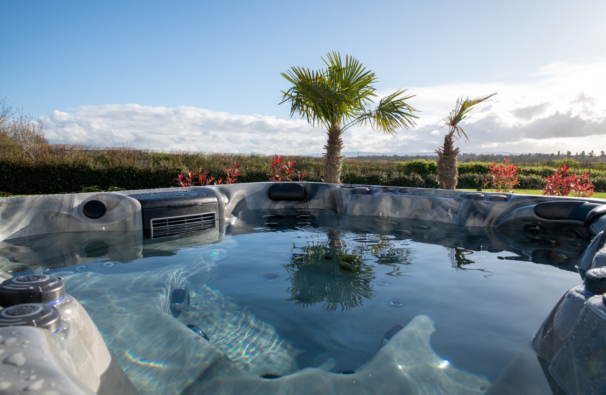Luxury hot tub in backyard setting with palm trees and manicured landscaping
